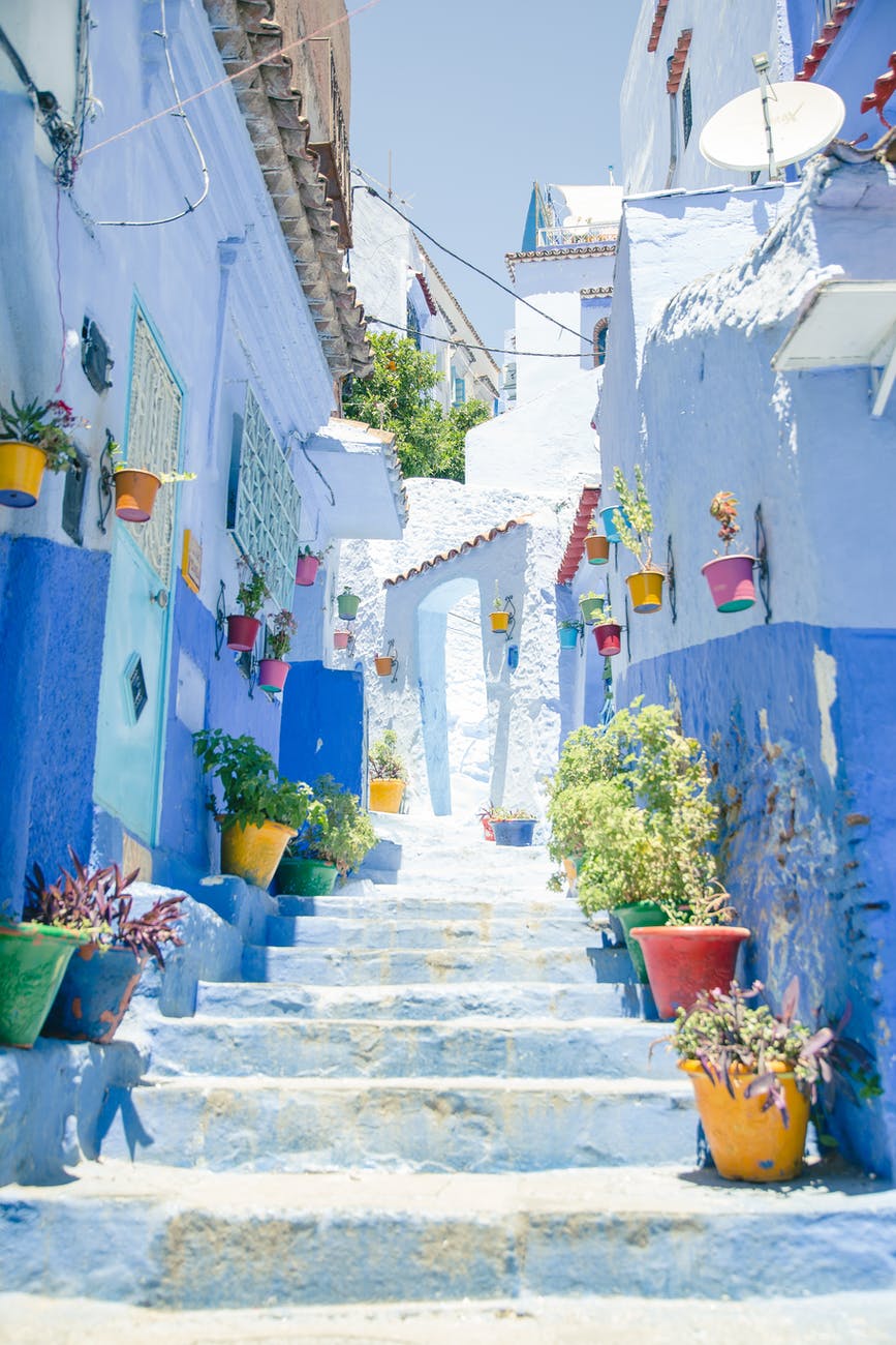 narrow staircase with potted flowers